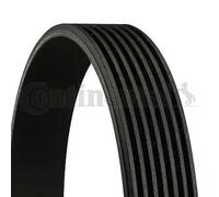 Correa trapezoidal acanalada 7PK1795 CONTINENTAL CTAM para RENAULT OPEL NISSAN
