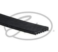 GATES Correa trapezoidal nervada para LAND ROVER: Defender, Discovery (Ref: 7PK1800)