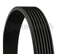 Correa trapezoidal acanalada 7PK1980 CONTINENTAL CTAM para ALFA ROMEO LANCIA
