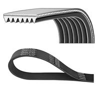 Correa trapezoidal acanalada 7PK2315 DAYCO para MERCEDES-BENZ CLASE C SLK
