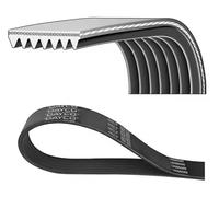 DAYCO 7PK2342 Correa trapecial poli V