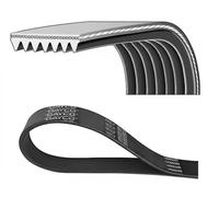Dayco 7PK2682 Correa Trapecial Poli V