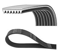 DAYCO 7PK2703 Correa trapecial poli V