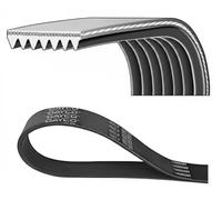 Dayco Correa trapezoidal 7PK2842 Poli V nervada