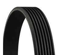 Correa trapezoidal acanalada 7PK990 CONTINENTAL CTAM para ISUZU D-MAX I