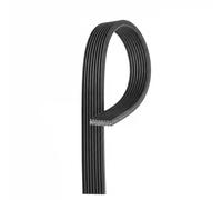 Correa trapecial poli V GATES 8DPK1825