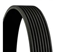 Correa trapezoidal acanalada 8PK1025 CONTINENTAL CTAM para VOLVO NH12 FM7