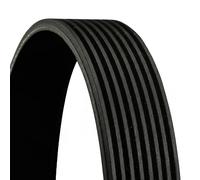 Correa trapezoidal acanalada 8PK1412 CONTINENTAL CTAM para MERCEDES-BENZ ATEGO 2