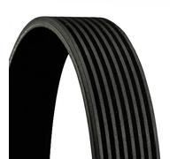 Correa trapezoidal acanalada 8PK1509 CONTINENTAL CTAM para SCANIA 4 - series