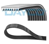 Correa trapezoidal acanalada 8PK1582HD DAYCO para SCANIA MAN