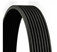 Correa trapezoidal acanalada 8PK1795 CONTINENTAL CTAM para MERCEDES-BENZ SCANIA