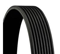 Correa trapezoidal acanalada 8PK1840 CONTINENTAL CTAM