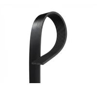 GATES 8PK1894HD Correa trapecial poli V