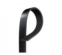 Correa trapecial poli V GATES 8PK2250HD