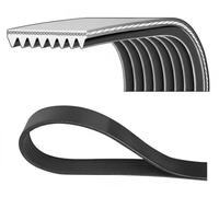 Correa poly V DAYCO 8PK2282HD
