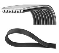 DAYCO 8PK2440 Correa trapecial poli V