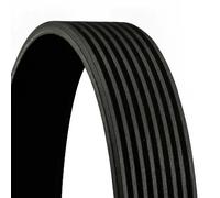 Correa trapezoidal acanalada 8PK2465 CONTINENTAL CTAM para MERCEDES-BENZ SCANIA
