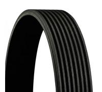 Correa trapezoidal acanalada 8PK2523 CONTINENTAL CTAM para MERCEDES-BENZ ATEGO