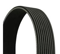 Correa trapezoidal acanalada 9PK1700 CONTINENTAL CTAM