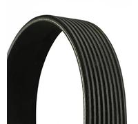 Correa trapezoidal acanalada 9PK2871 CONTINENTAL CTAM para MERCEDES-BENZ ACTROS