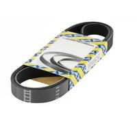 SNR CA7PK2842 Correa trapecial poli V