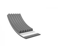 Correa trapezoidal acanalada EPDM (Ethylen-Propylen-Dien-Caucho) 050 006 1019/E
