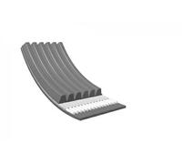 Correa trapezoidal acanalada EPDM (Ethylen-Propylen-Dien-Caucho) 050 006 1338