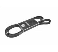 Correa trapezoidal acanalada EPDM (Ethylen-Propylen-Dien-Caucho) 050 006 2264
