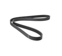 HUTCHINSON 1061 SK 6 Correa trapecial poli V