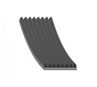 Correa trapezoidal acanalada EPDM (Ethylen-Propylen-Dien-Caucho) 29065 para MAN