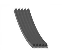 Correa trapezoidal acanalada EPDM (Ethylen-Propylen-Dien-Caucho) AD05R2030