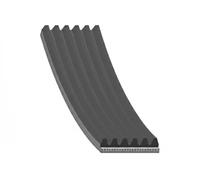 Correa trapezoidal acanalada EPDM (Ethylen-Propylen-Dien-Caucho) AD06R2585