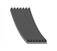 Correa trapezoidal acanalada EPDM (Ethylen-Propylen-Dien-Caucho) AD07R1801