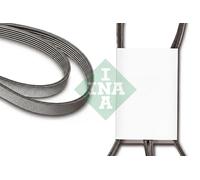 INA FB 6XPK1893 Correa trapecial poli V