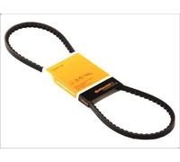 Correa trapezoidal CONTITECH AVX10X975 para SAAB 99 2 1974-1984