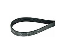 Correa Trapezoidal de Transmisión Secadora Stricada 1951PH7 1951H7 150612403