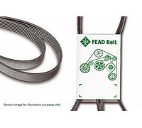 Correa Trapezoidal INA FB4PK1520