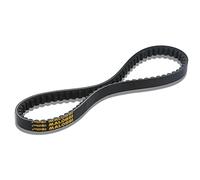 Correa trapezoidal Malossi X-K - TNG Low Boy 50 4T