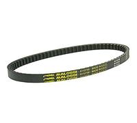 Correa trapezoidal Malossi X-Special - Aprilia SR50 WWW (-