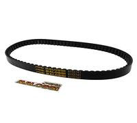 Correa trapezoidal Malossi X-Special - TNG Venice 49 50 2T