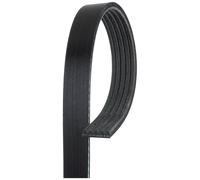 Correa Trapezoidal Ranurada Gates 5pk925