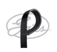 Correa Trapezoidal Ranurada Gates 7pk810