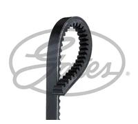 Correa trapezoidal TR22434 GATES