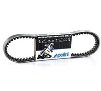 Correa Vari.Piaggio-Gilera Typhoon