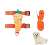 Correas De Entrenamiento Para Perros - Juego De Correas Fuertes Para Mascotas De 13-18 Cm, Lindo Chaleco De Dibujos Animados, Correa Para Cachorros | Conveniente Adaptabilidad, Elementos Esenciales Pa