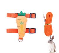 Correas duraderas para mascotas, correas para gatos y perros, correas de entrenamiento para cachorros, lindos arneses para perros, juegos de correas para mascotas, juegos de corredores para perros,