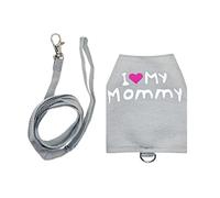 Correas para Dragón Barbudo,Luminosa Transpirable Ajustable Accesorios para Mascotas - Ropa para Dragón Barbudo,para Acampada Vida Urbana Viajes Nocturnos Transporte Diario Compras