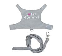 Correas para Lagartos - Transpirable Luminosa para Suministros De Mascotas Pequeñas,Atuendos de Dragón Barbudo,para Caminar Acampar Viaje Nocturno Salida Compras Taxi Público