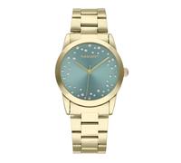 Correas para relojes modelo fiji 36mm green dial ipg bracelet. marca r