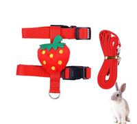 Correas resistentes para perros - Lindo chaleco de dibujos animados Correas de entrenamiento para perros Juego de correas | Necesidades para perros al aire libre Suministros para mascotas Arnés para p